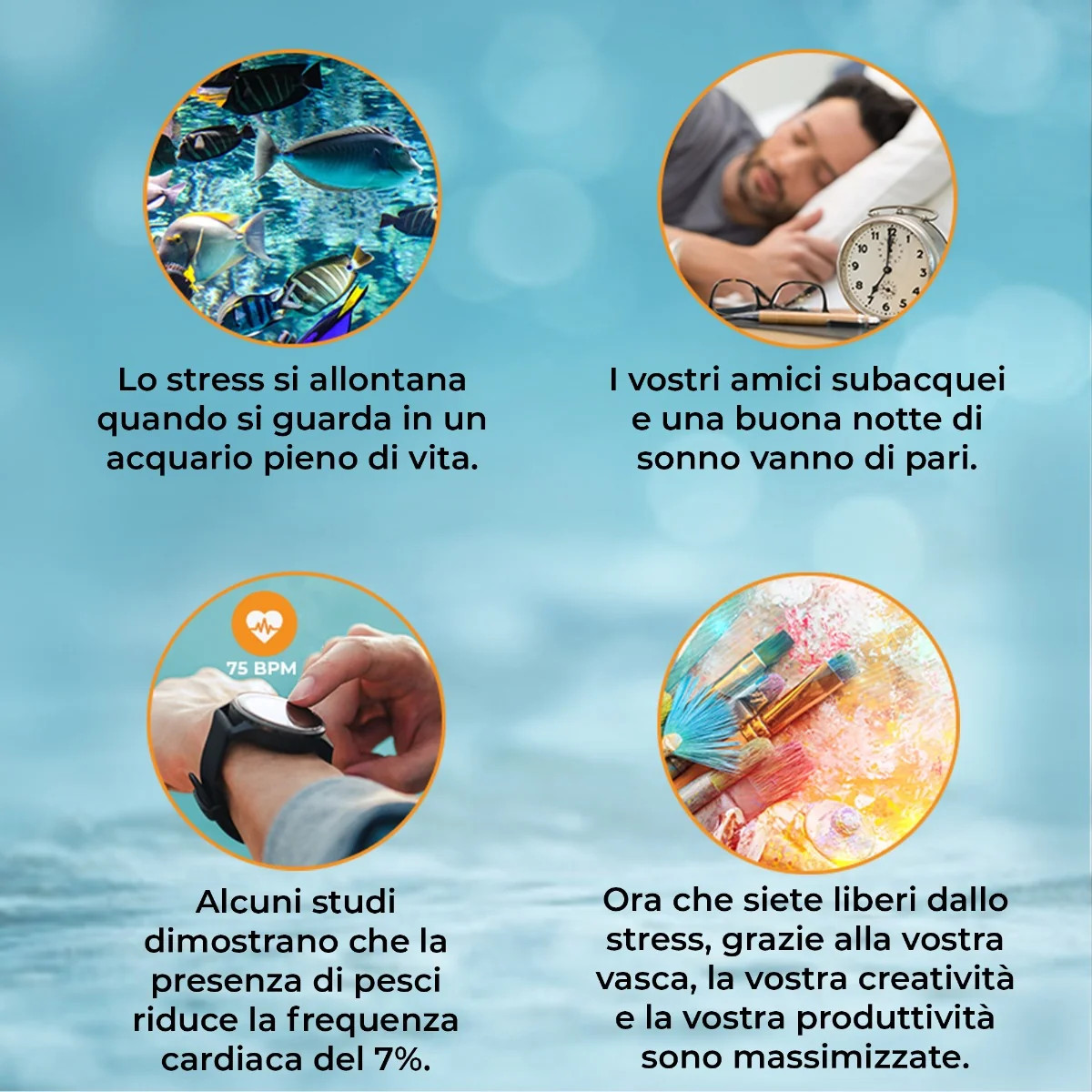Acquario 300L con Armadietto Bianco e Kit con Fondale, Piante e Ghiaia Bianca 8 Acquario 300L con Armadietto Bianco e Kit con Fondale, Piante e Ghiaia Bianca