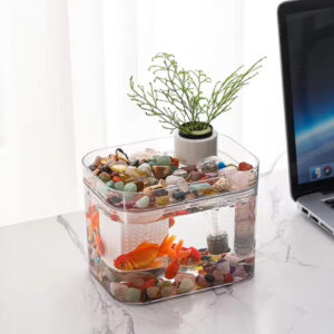 Aquarium Zuchtbox Transparent mit USB Luftpumpe Desktop