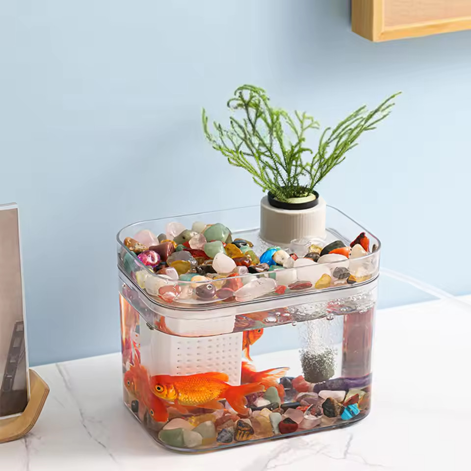 Aquarium Zuchtbox Transparent mit USB Luftpumpe Desktop 2 Aquarium Zuchtbox Transparent mit USB Luftpumpe Desktop