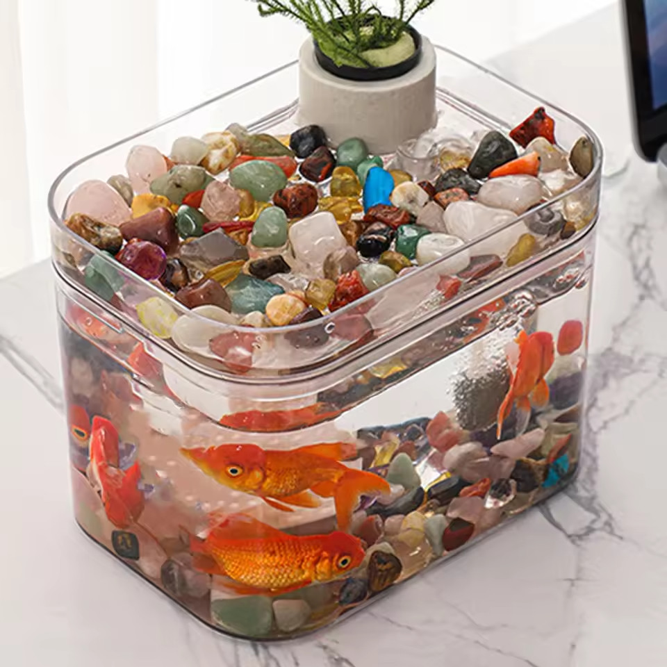 Aquarium Zuchtbox Transparent mit USB Luftpumpe Desktop 3 Aquarium Zuchtbox Transparent mit USB Luftpumpe Desktop