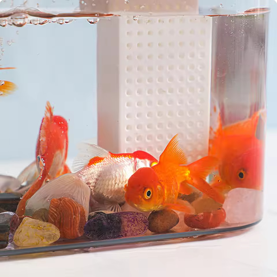 Aquarium Zuchtbox Transparent mit USB Luftpumpe Desktop 5 Aquarium Zuchtbox Transparent mit USB Luftpumpe Desktop