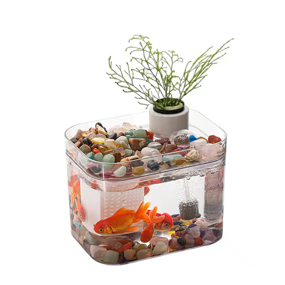 Aquarium Zuchtbox Transparent mit USB Luftpumpe Desktop 6 Aquarium Zuchtbox Transparent mit USB Luftpumpe Desktop