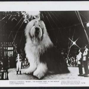 Digby The Biggest Dog In The World ’74 GIANT DOG IN A CIRCUS TENT