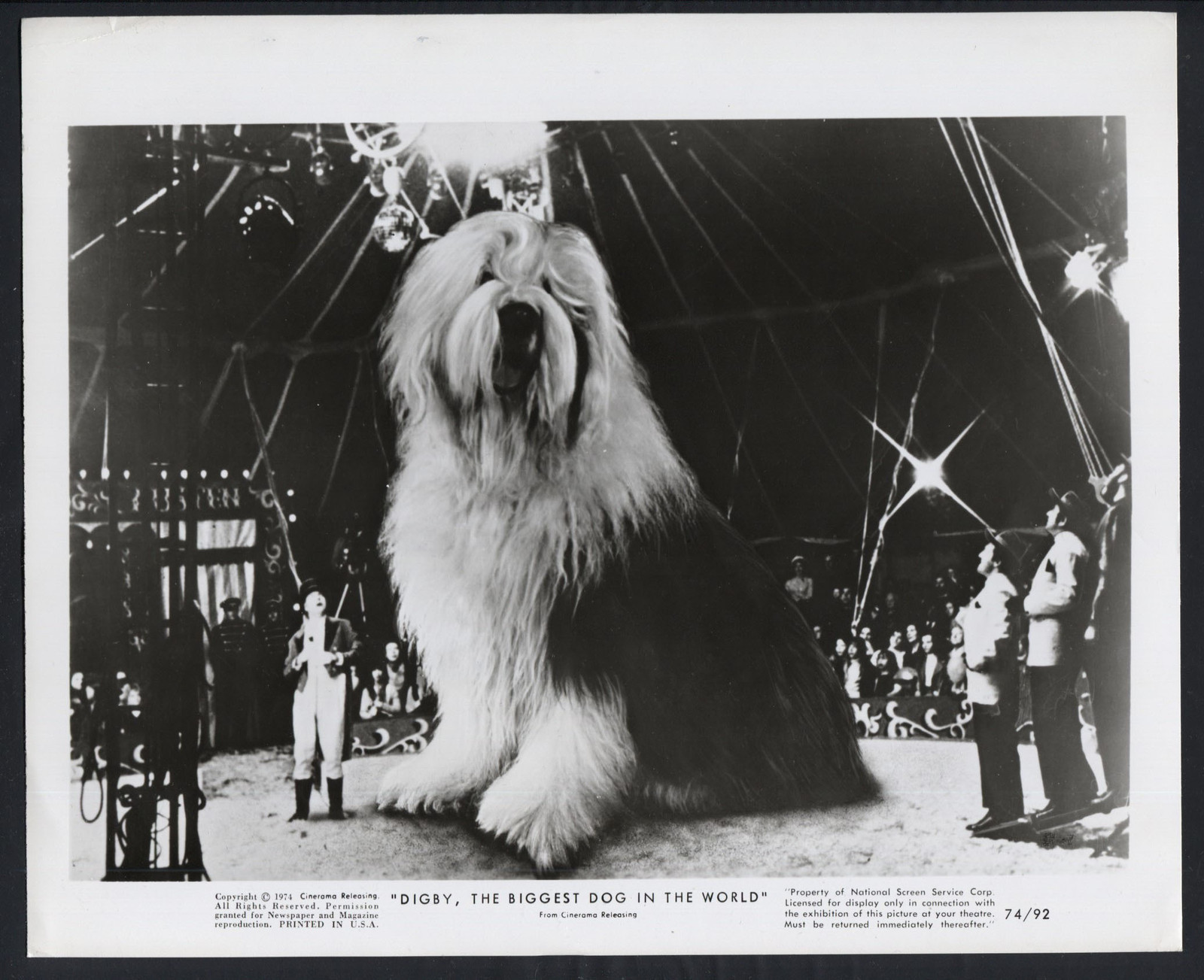 Digby The Biggest Dog In The World ’74 GIANT DOG IN A CIRCUS TENT 1 Digby The Biggest Dog In The World ’74 GIANT DOG IN A CIRCUS TENT