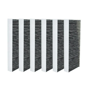 Filtre à charbon sans anti-odeur de poisson (6pcs) pour Bora Basic / GP4