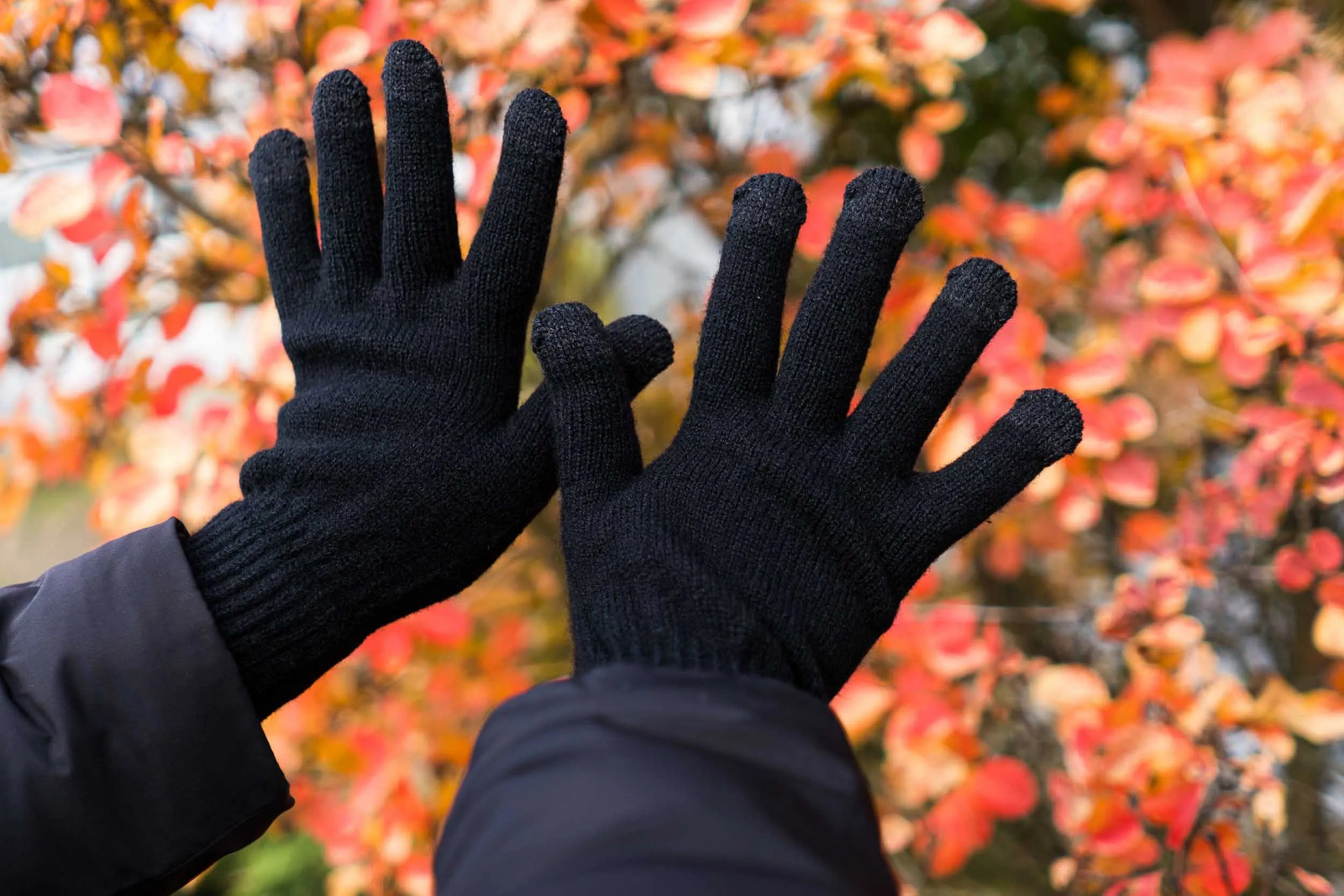 Gants chauds pour smartphone Screengloves unisexes noirs 5 Gants chauds pour smartphone Screengloves unisexes noirs
