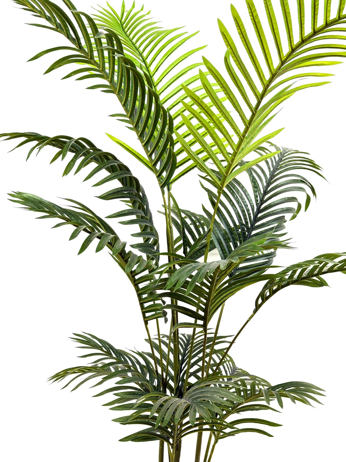 IvoQ Kunstpalm 150 cm – Tropische Kunstplant – Onderhoudsvrije Kamerplant – Real 6 IvoQ Kunstpalm 150 cm – Tropische Kunstplant – Onderhoudsvrije Kamerplant – Real