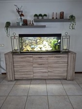 Komplettes Juwel Rio 240 LED Aquarium inkl. Besatz (Cichliden) & Zubehör