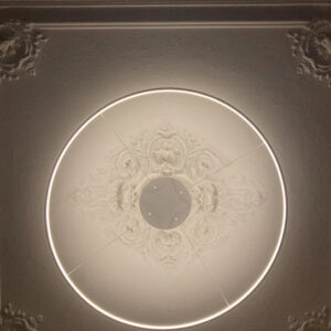 Modern LED Chandelier Pendant Light Dimmable Chandelier