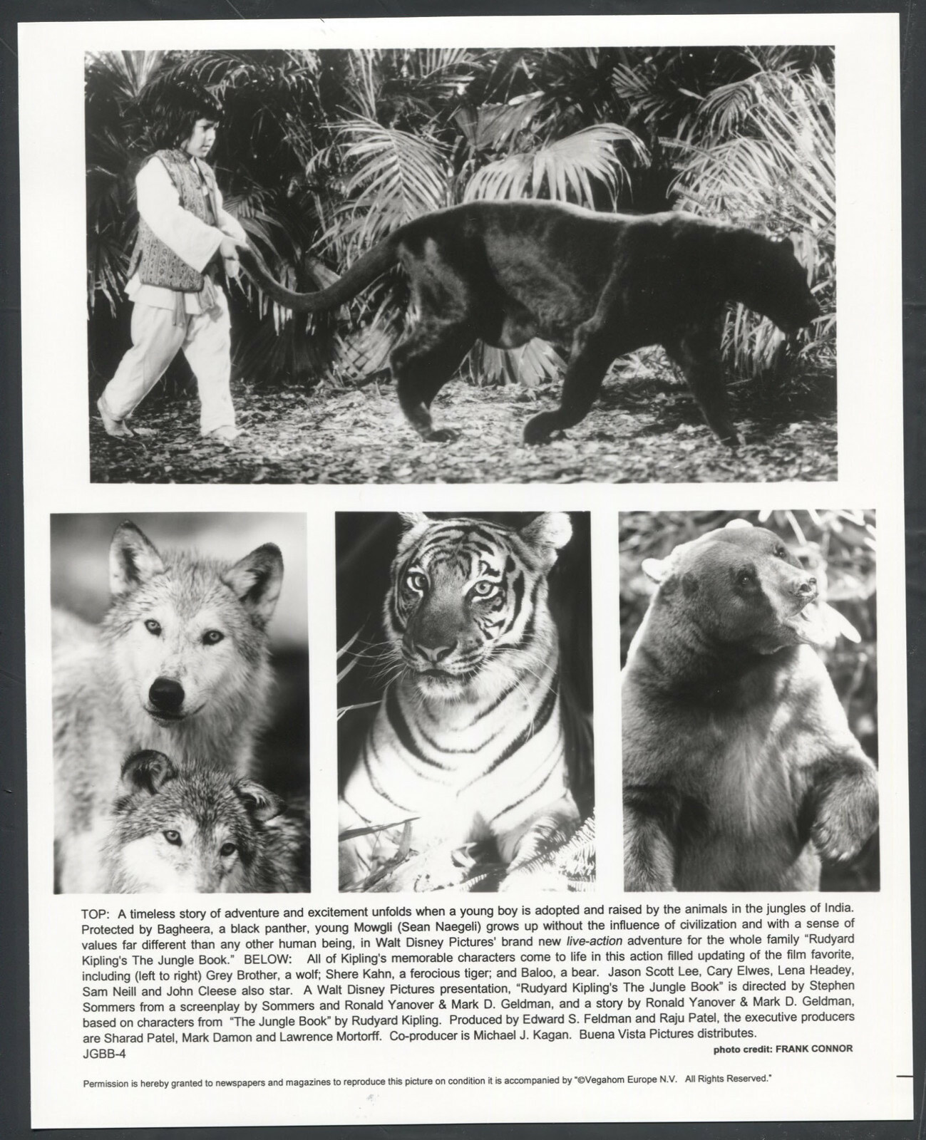 The Jungle Book ’94 CHILDSTAR SEAN NAEGELI TIGER WOLVES BEAR PANTHER 1 The Jungle Book ’94 CHILDSTAR SEAN NAEGELI TIGER WOLVES BEAR PANTHER