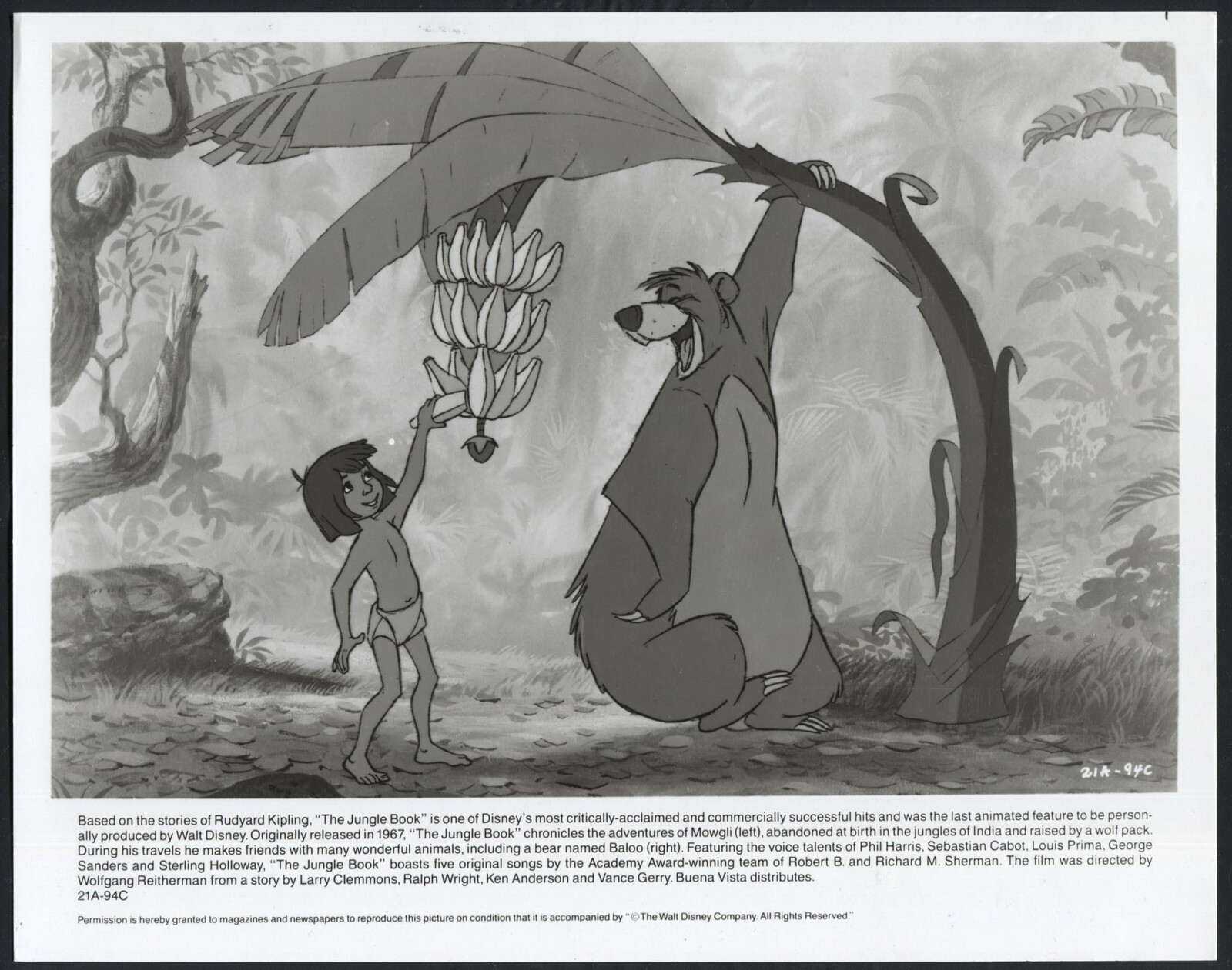 The Jungle Book WALT DISNEY CARTOON ANIMATION BALOO BEAR MOWGLI BANANAS 1 The Jungle Book WALT DISNEY CARTOON ANIMATION BALOO BEAR MOWGLI BANANAS