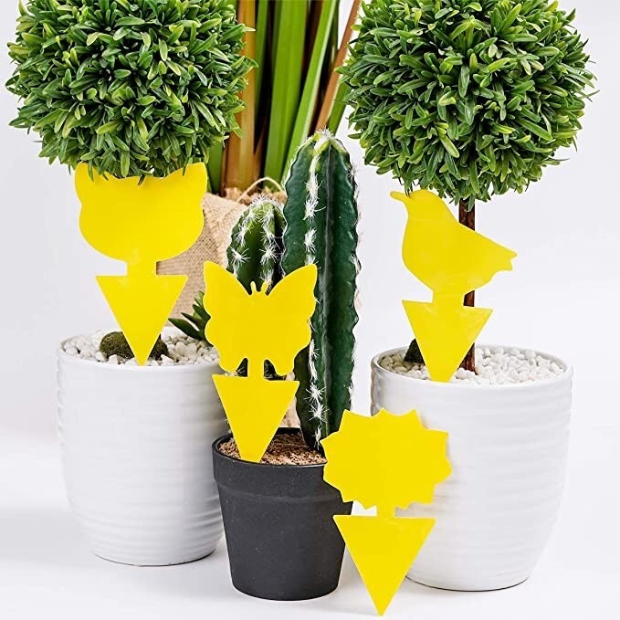 Vliegenval 44 stuks gele voor kamerplant, planten, bloemen, tuin, border 2 Vliegenval 44 stuks gele voor kamerplant, planten, bloemen, tuin, border