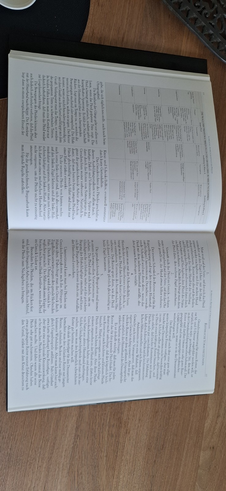 boek das Dressurpferd - Harry Boldt 4 boek das Dressurpferd - Harry Boldt