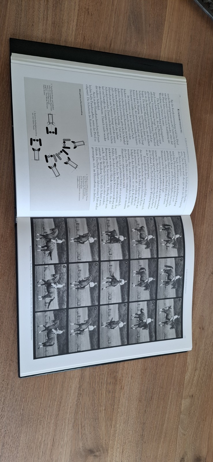 boek das Dressurpferd - Harry Boldt 5 boek das Dressurpferd - Harry Boldt
