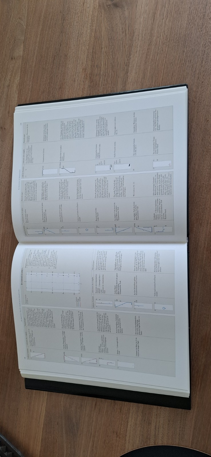boek das Dressurpferd - Harry Boldt 6 boek das Dressurpferd - Harry Boldt