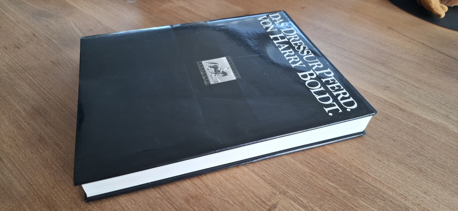 boek das Dressurpferd - Harry Boldt 8 boek das Dressurpferd - Harry Boldt
