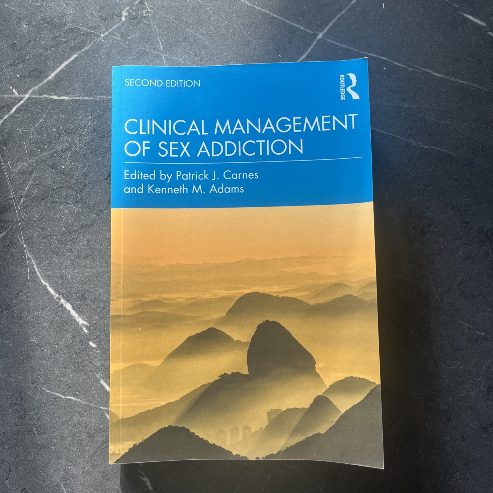 Clinical Management Of Sex Addiction Second Edition Book by Patrick Carnes 1 Clinical Management Of Sex Addiction Second Edition Book by Patrick Carnes